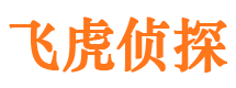 河池侦探